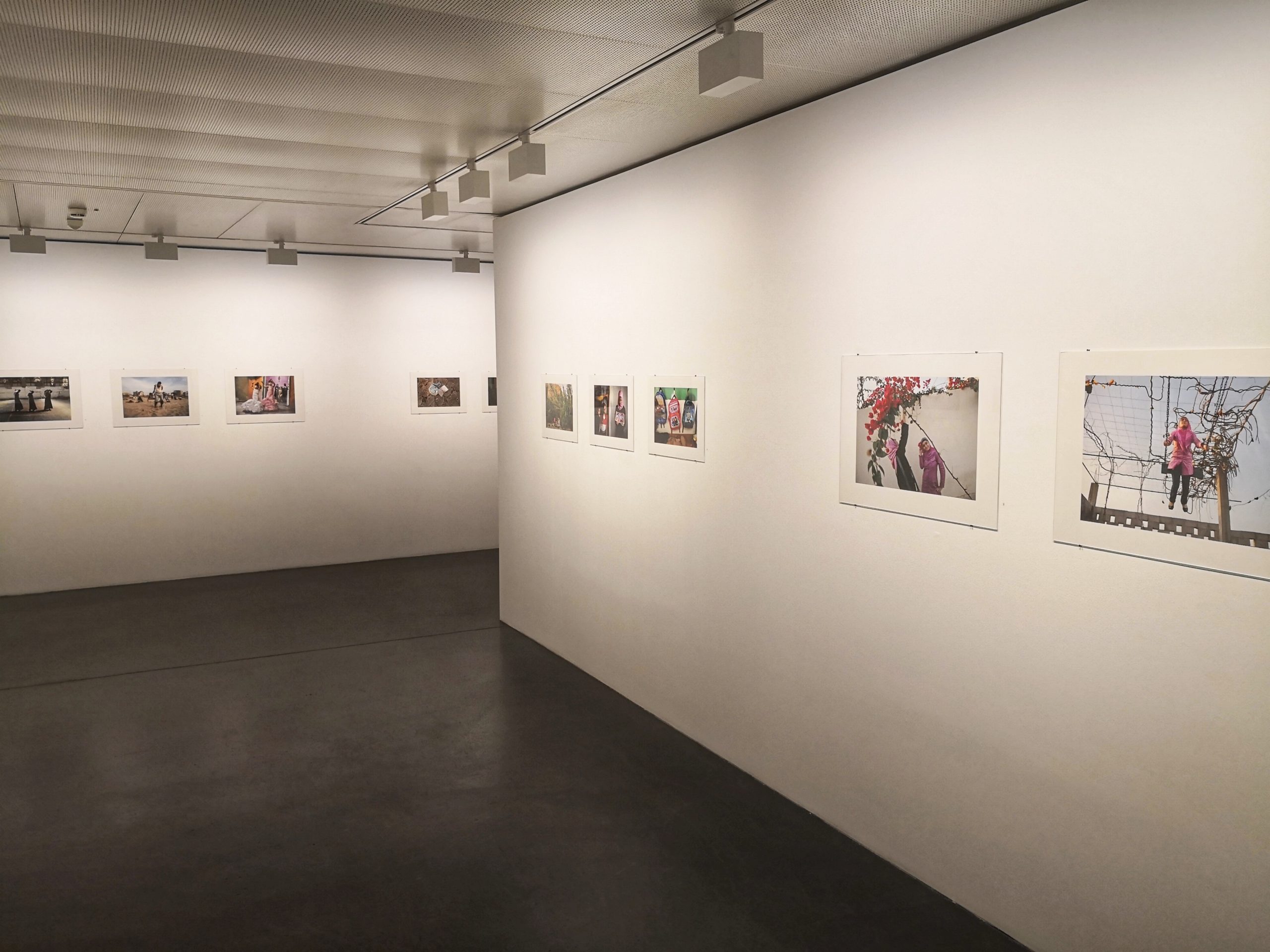 Read more about the article Ausflug Fotomuseum Winterthur